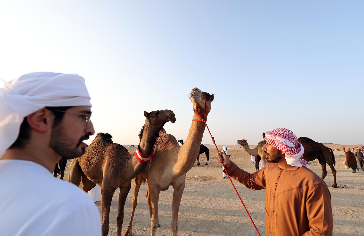 Al Dhafra festival