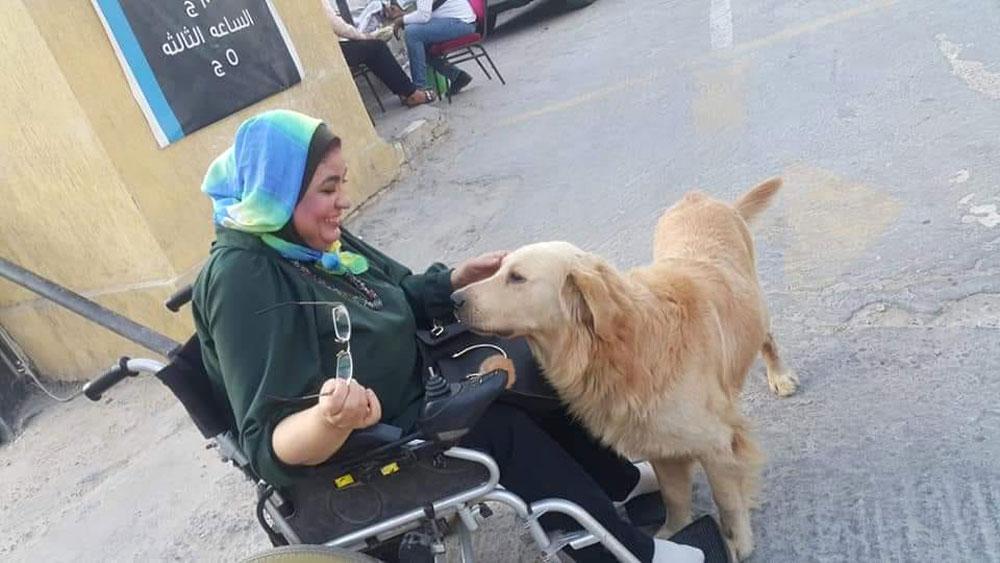 اليد الأولى