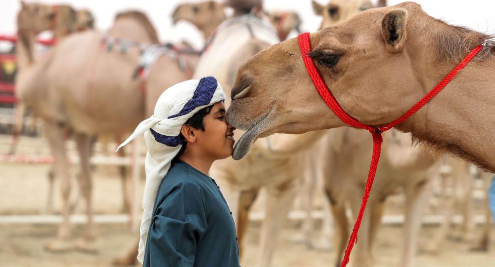 تسلط الضوء على موروثنا الأصيل