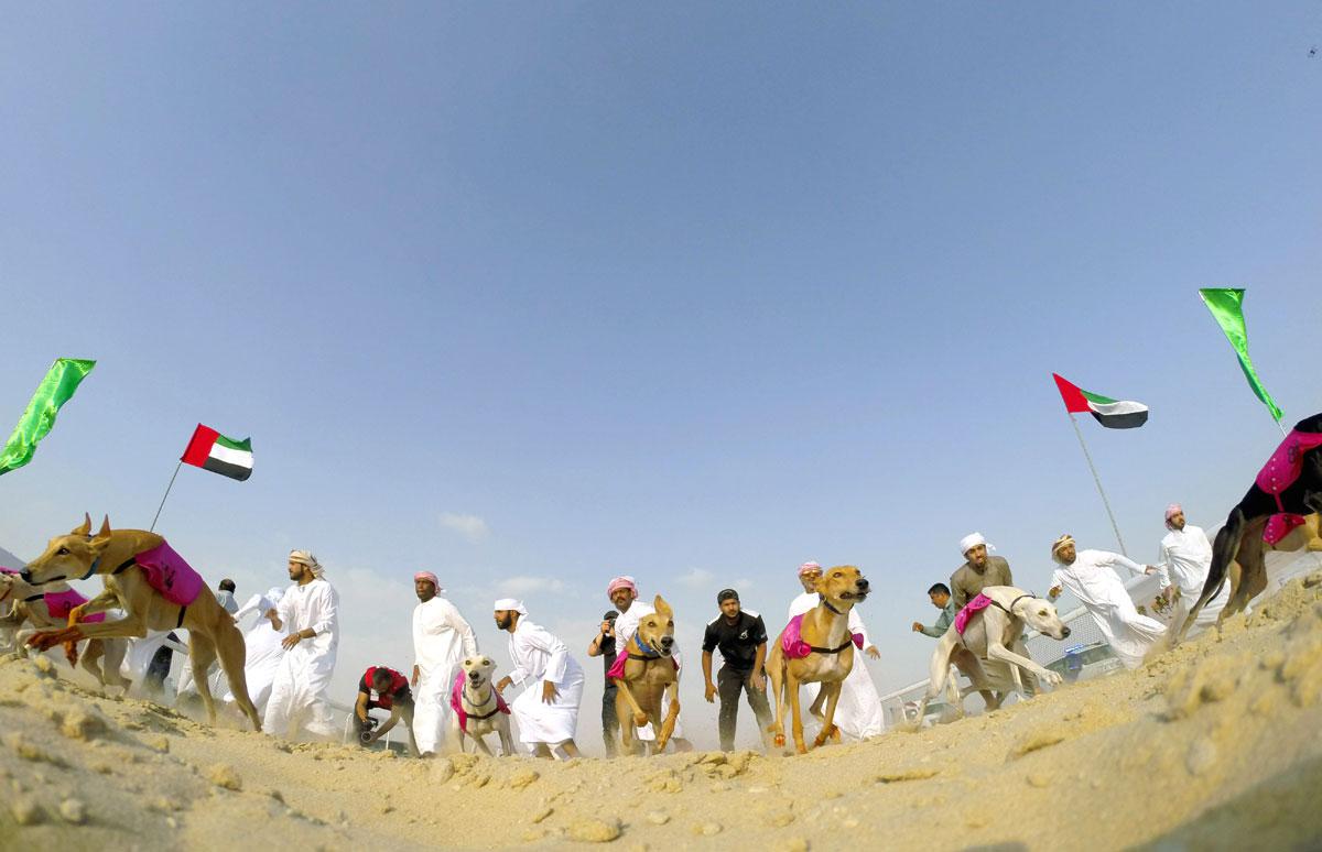 مزاينة تمور الدباس