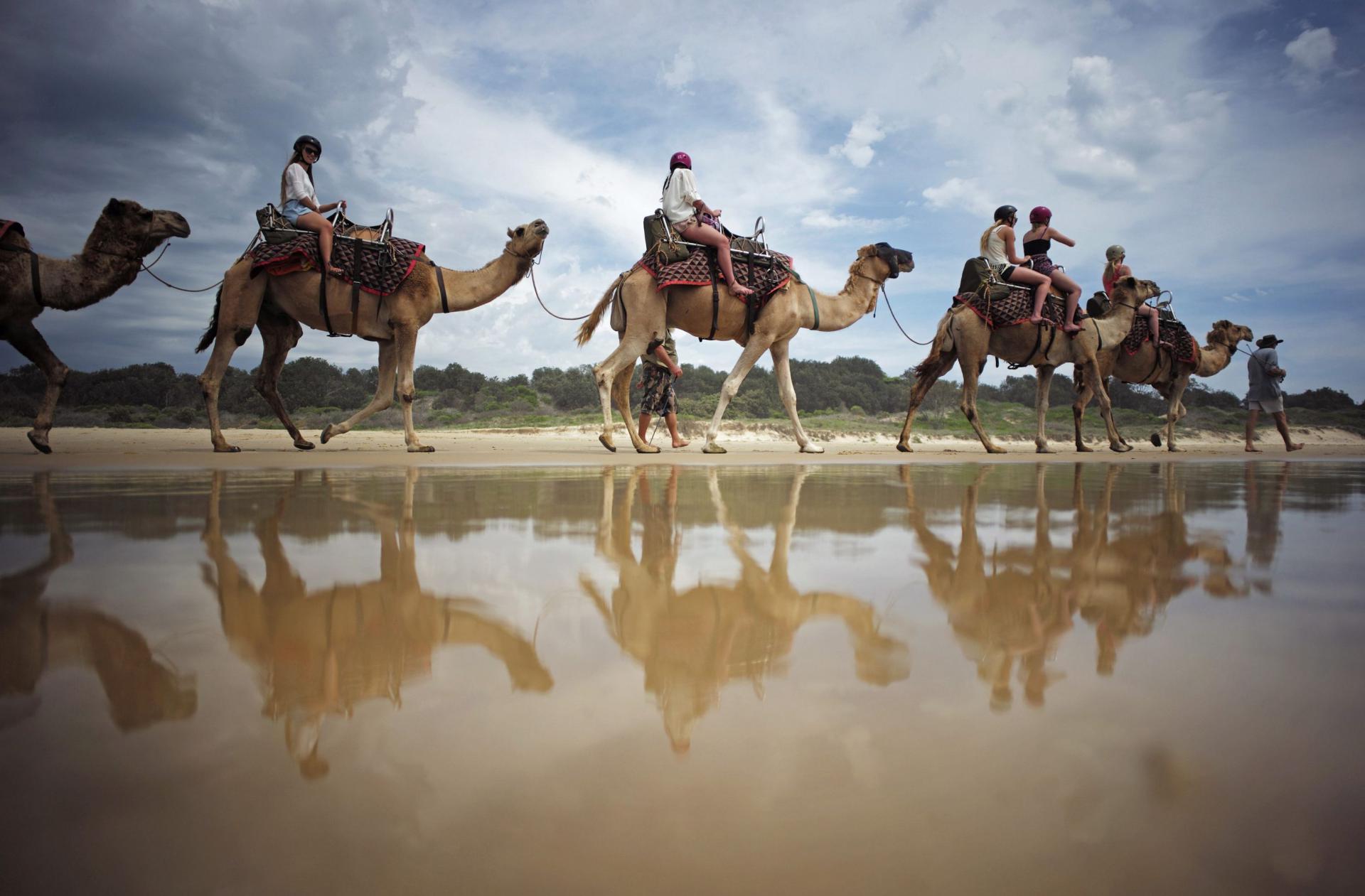 جمال استراليا