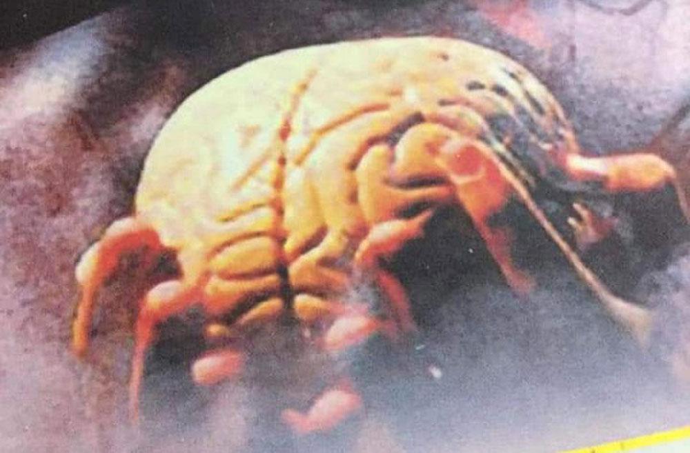 إضافة نوعية للمكتبة العراقية والعربية