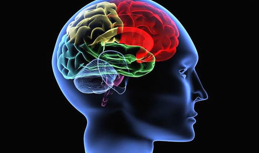 حقيقة الوعي