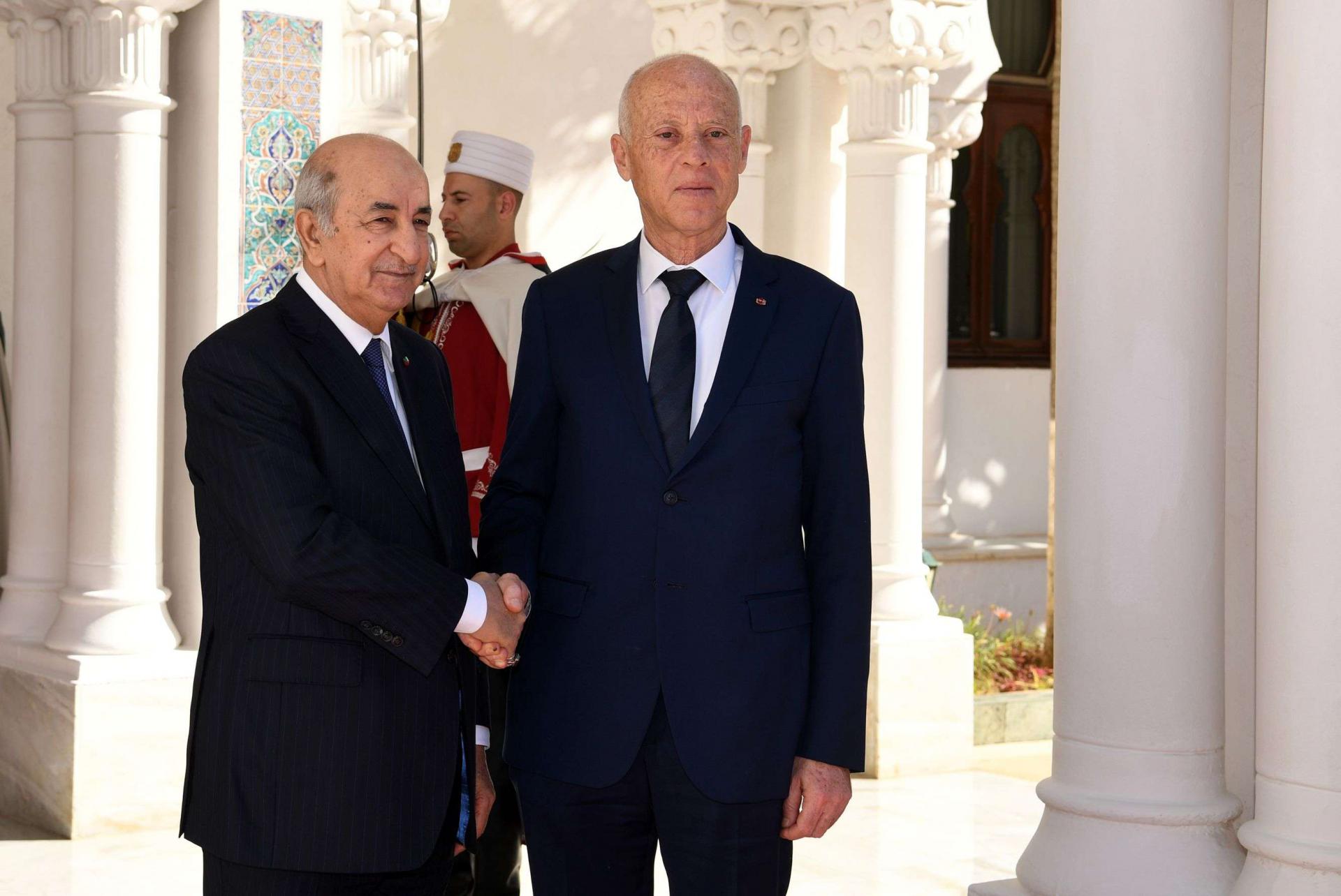 التدخل التركي في ليبيا محور اللقاء بين تبون وسعيد
