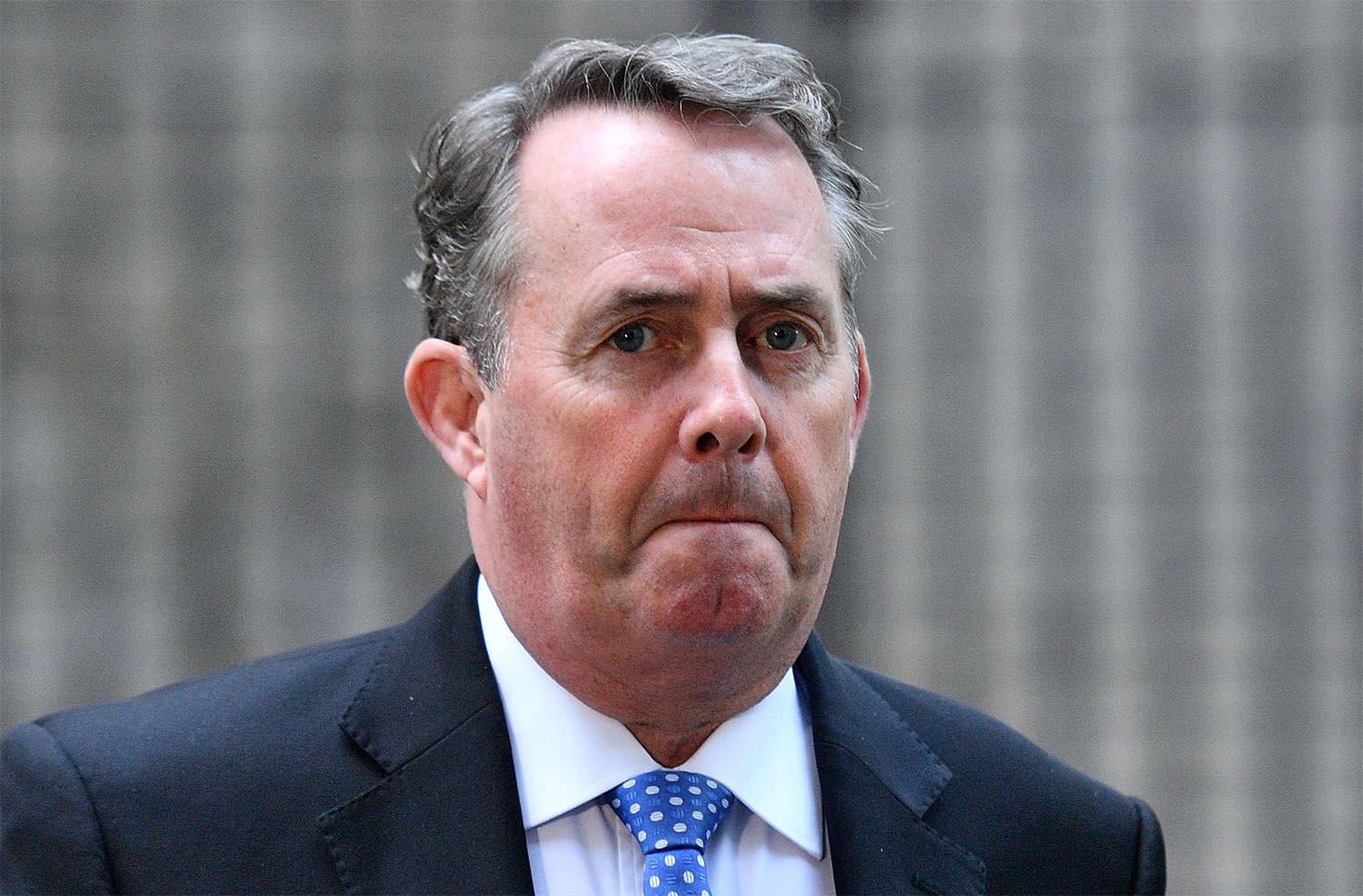 Former British defence secretary Liam Fox