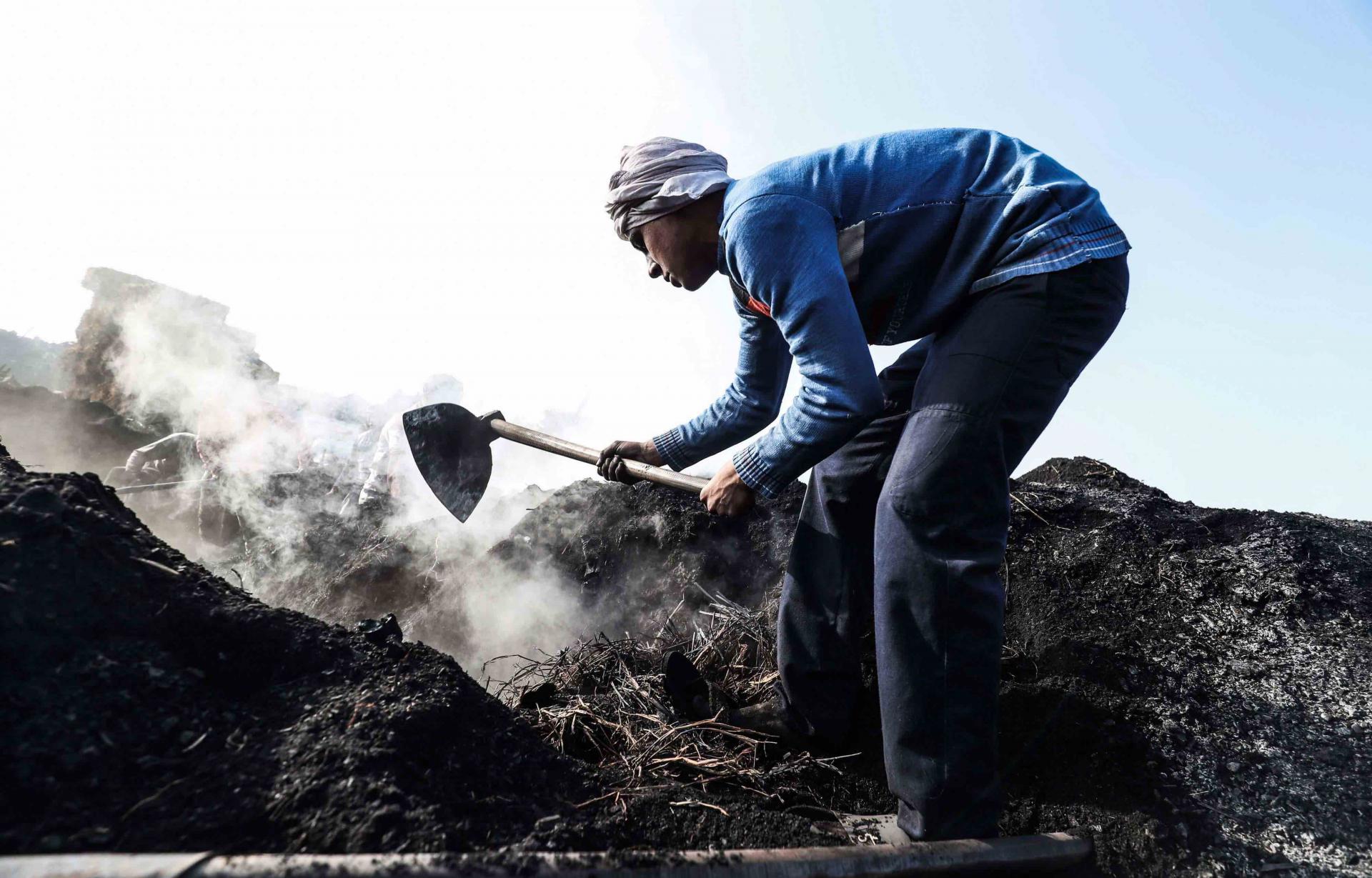 The site in Inshas, in the fertile Nile River delta north of the Egyptian capital, employs dozens of men