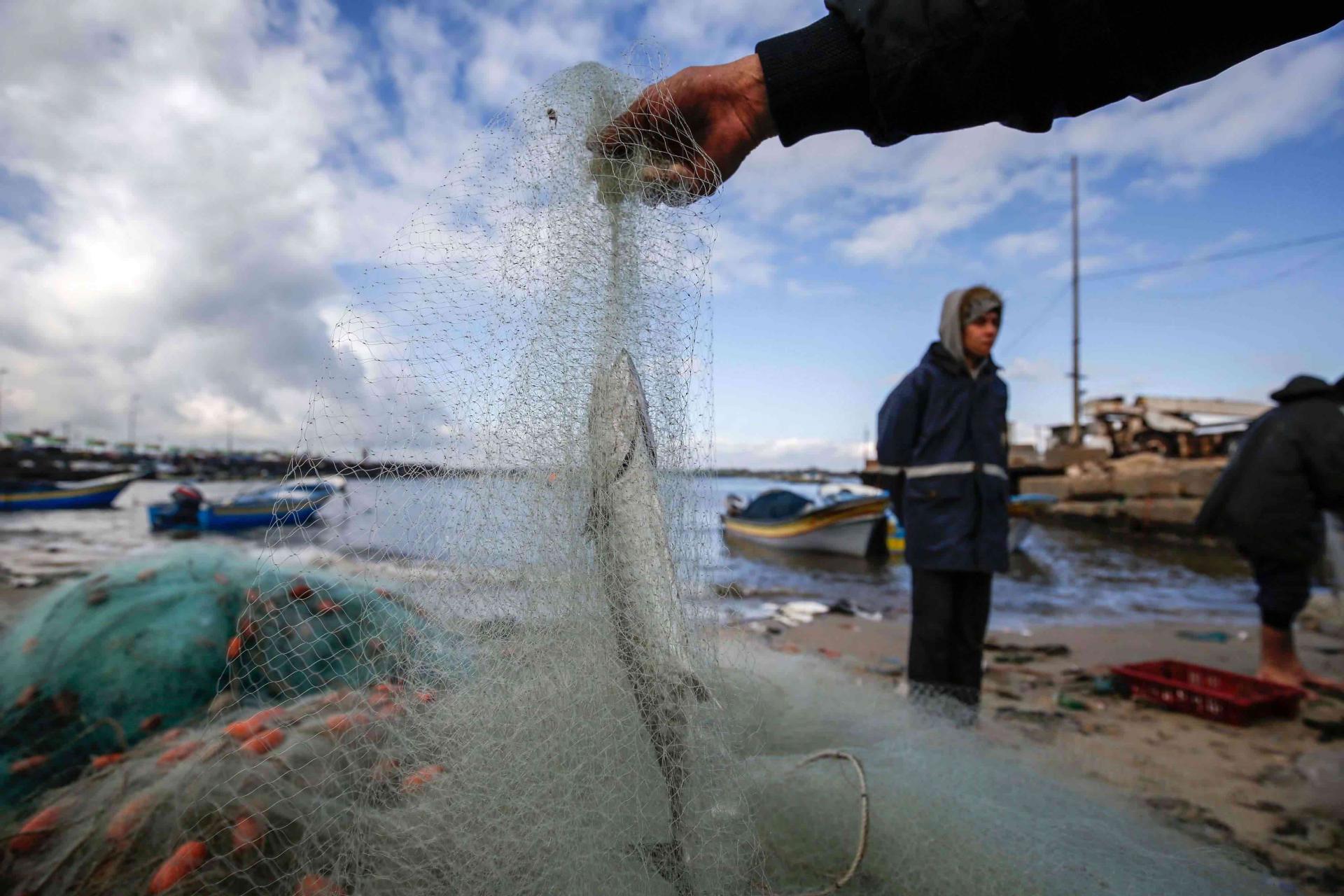 Palestine has a lengthy fishing range off the coast of the Gaza strip that stretches at 20 nautical miles