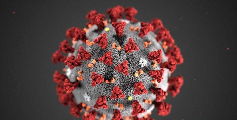 تأويلات متنوّعة لأسباب ظهور الفيروس