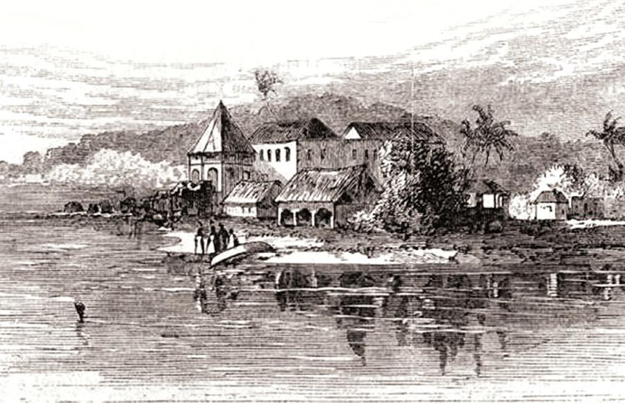 زوال الأمية