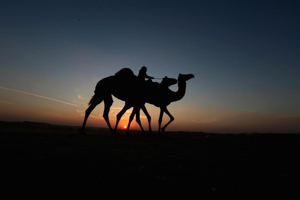 خطة مشتركة