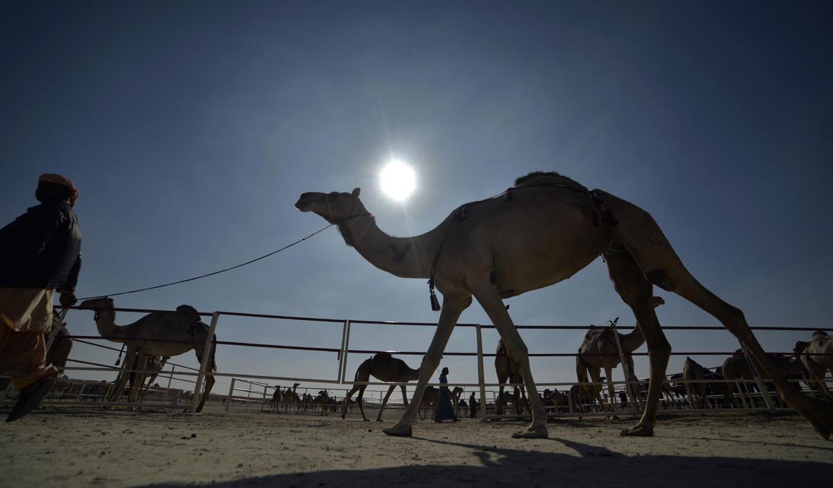 الحفاظ على بيئة الإمارة
