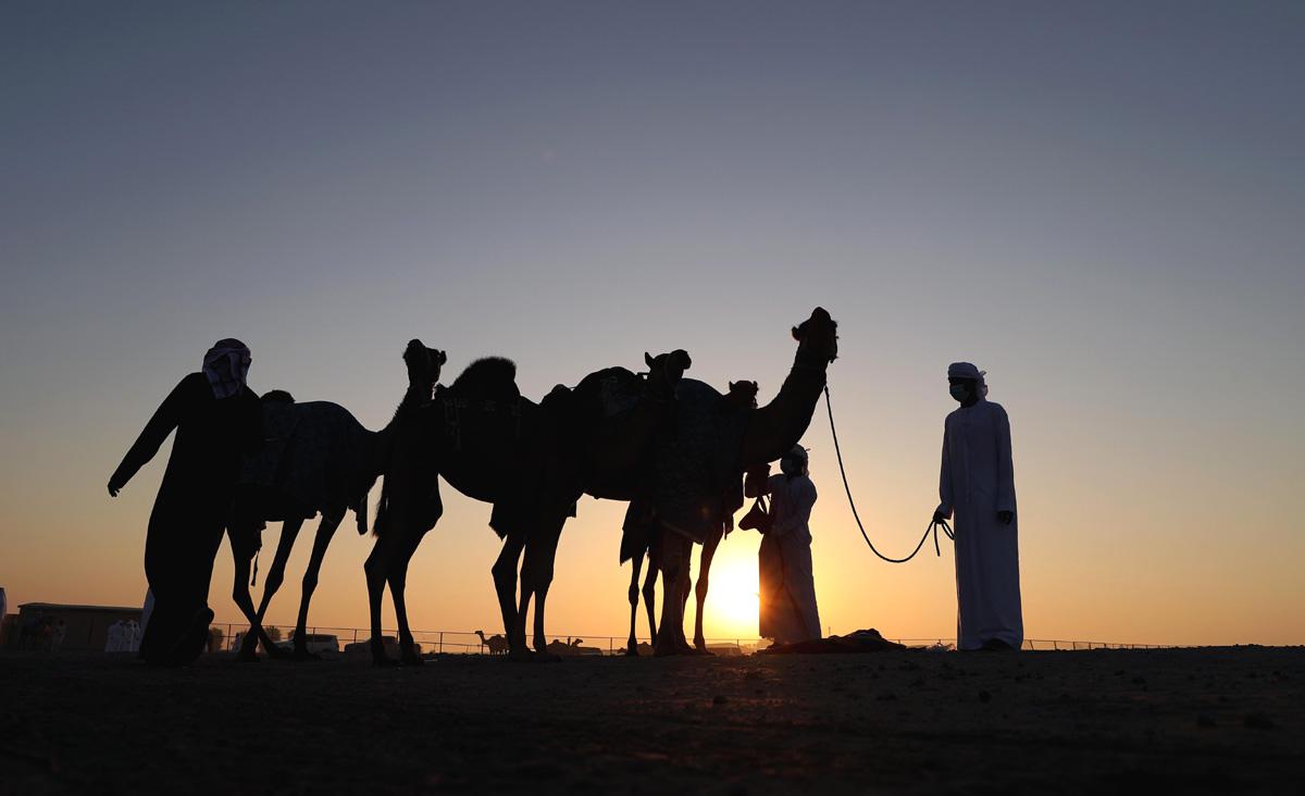 شبوك المبيت