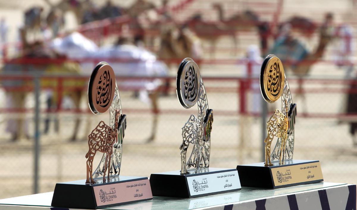 مزاينة الصقور