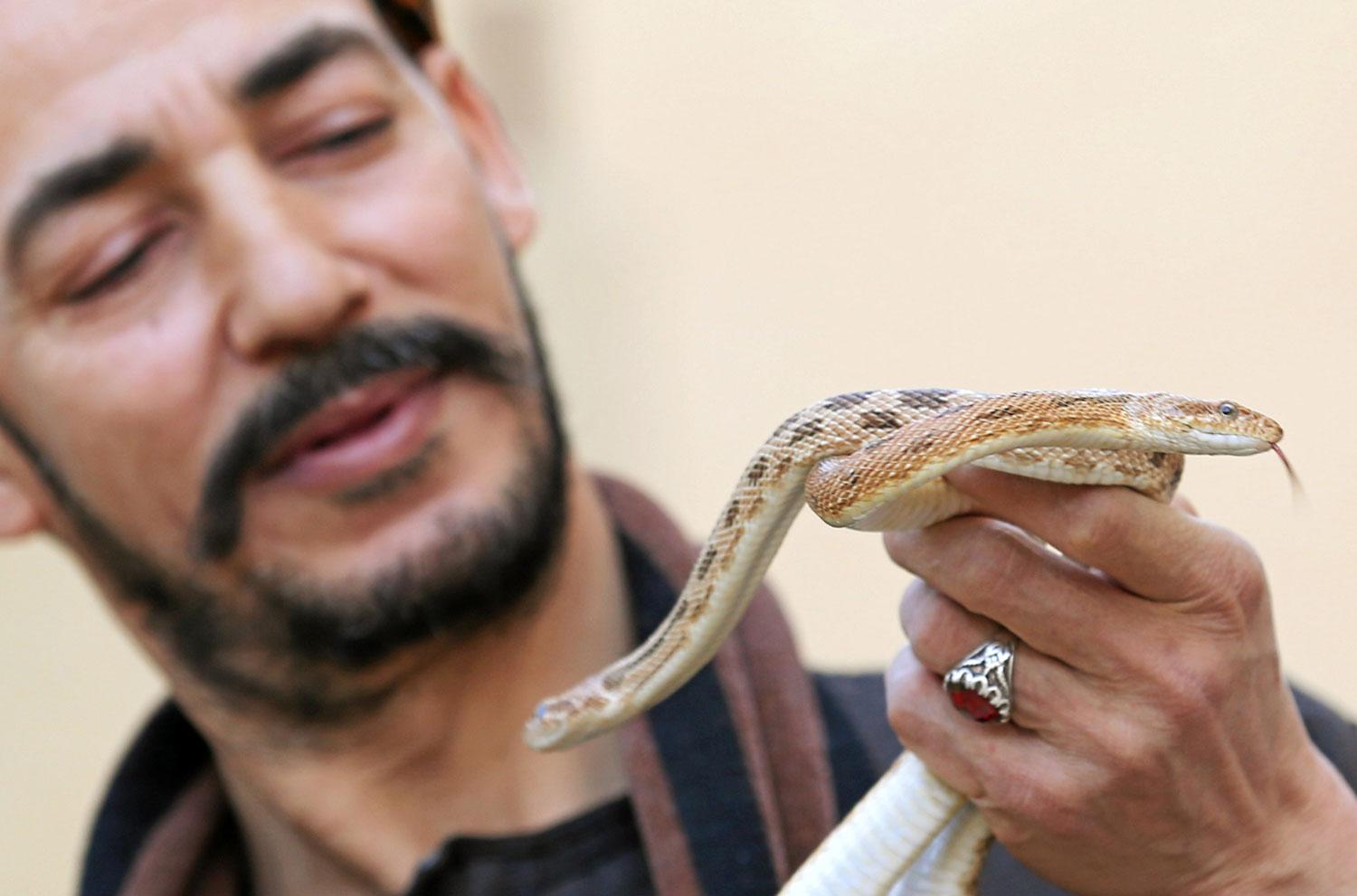 تربية ثعبان