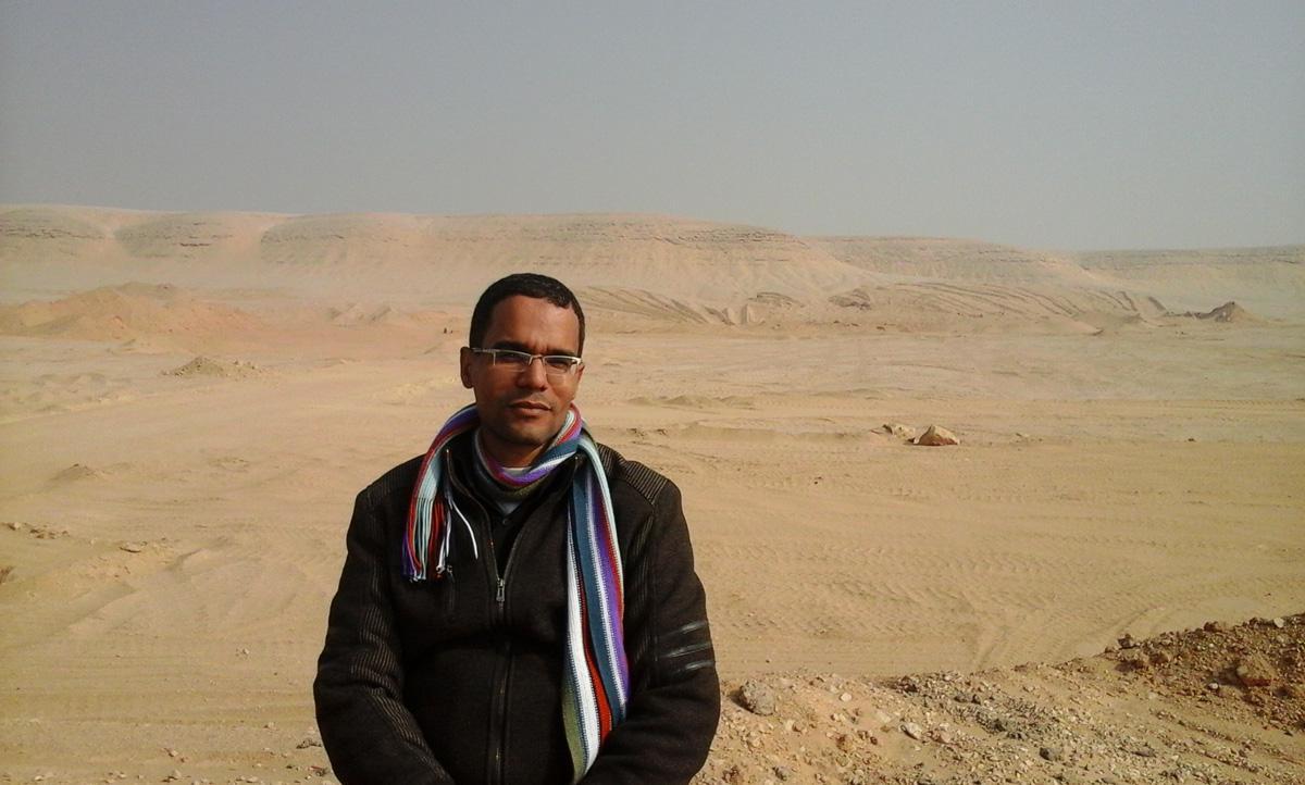 خيول الريح المدهشة
