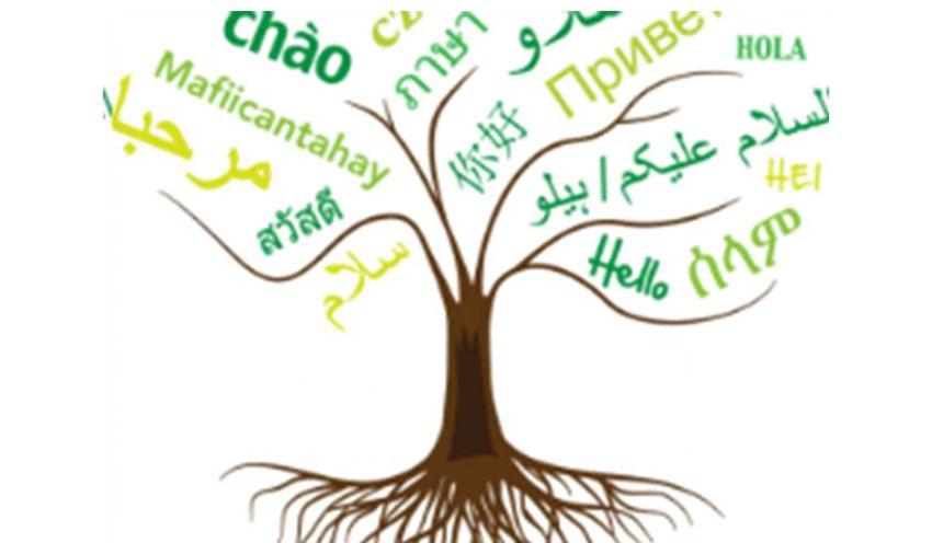 الأب هو القاعدة