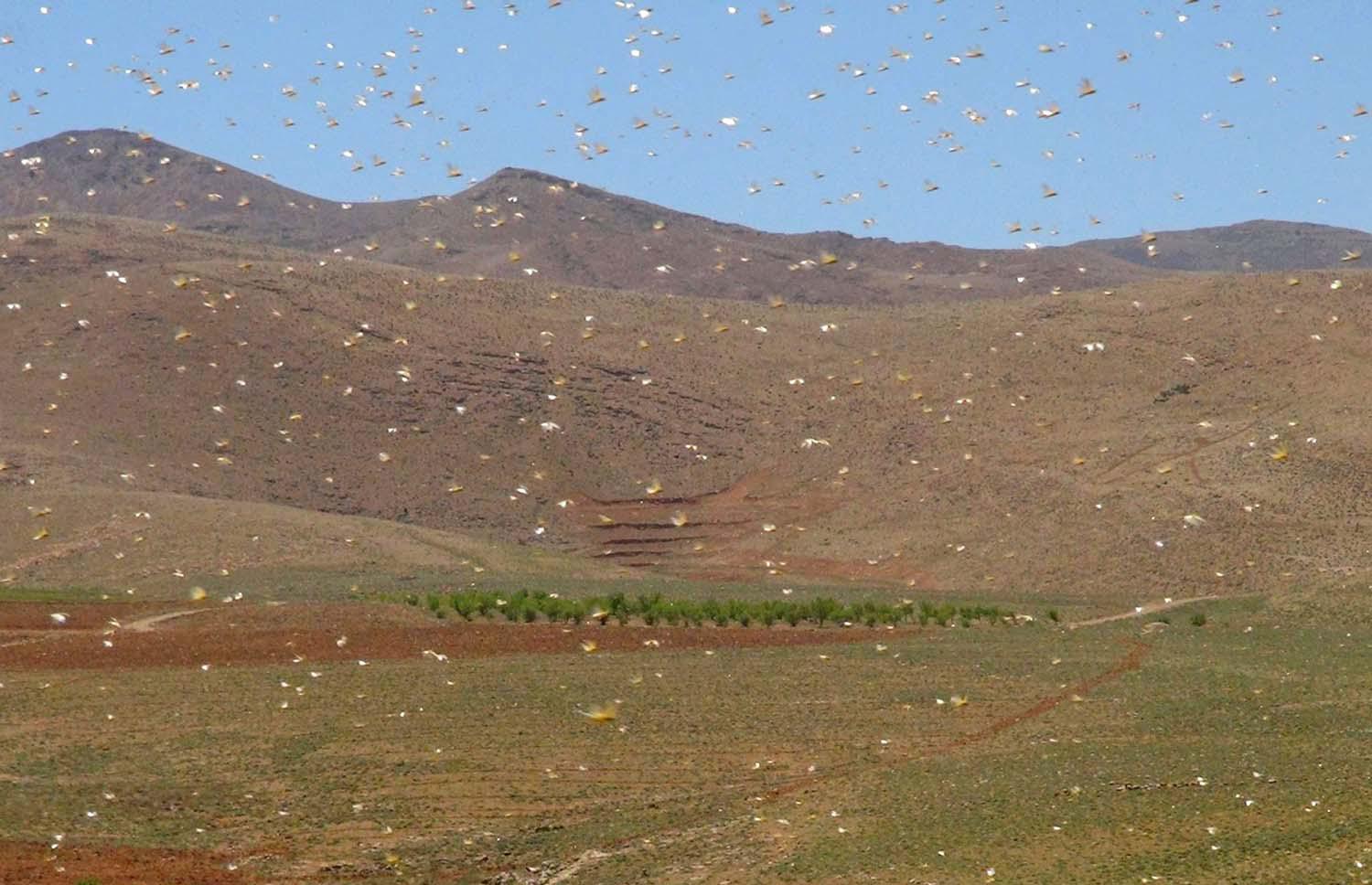 It is a very rare occurrence