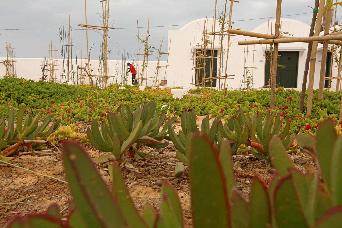مقبرة "حديقة افريقيا"