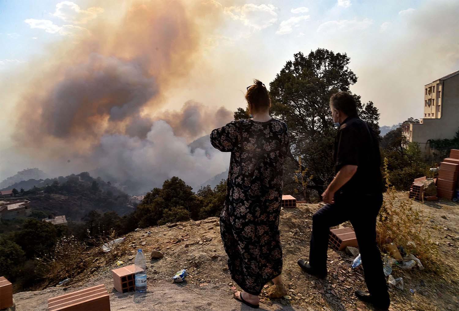 Wildfires tearing through forested areas of northern Algeria have killed at least 65 people