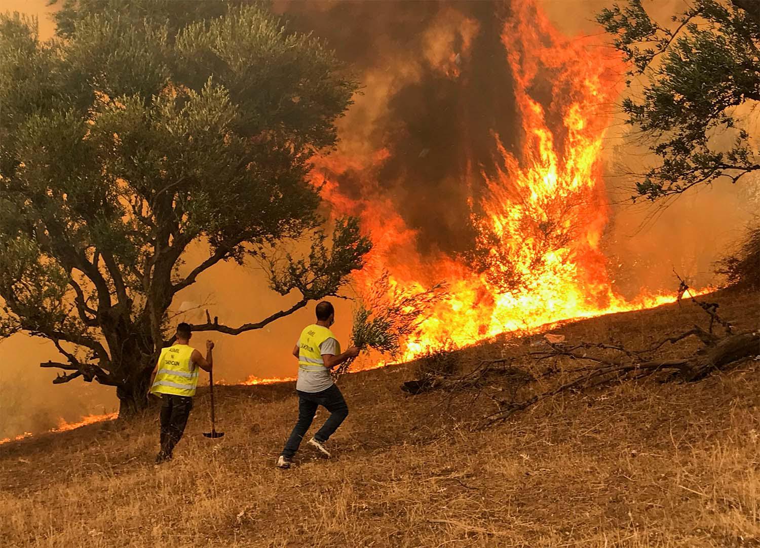 Wildfires in Tizi Ouzou