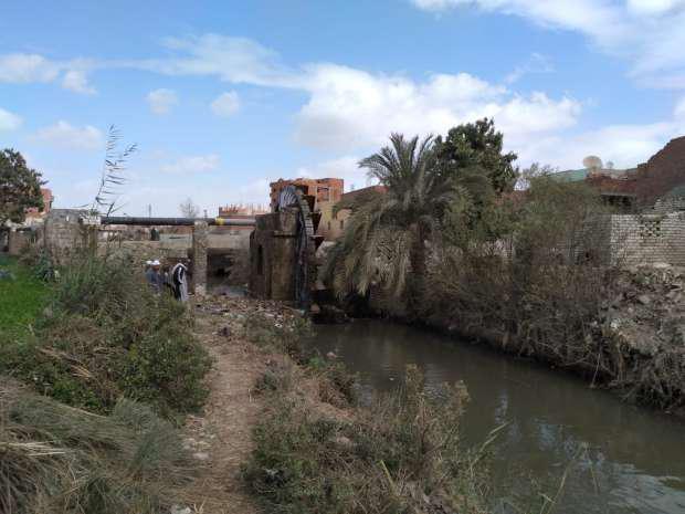 ساقية في مصر