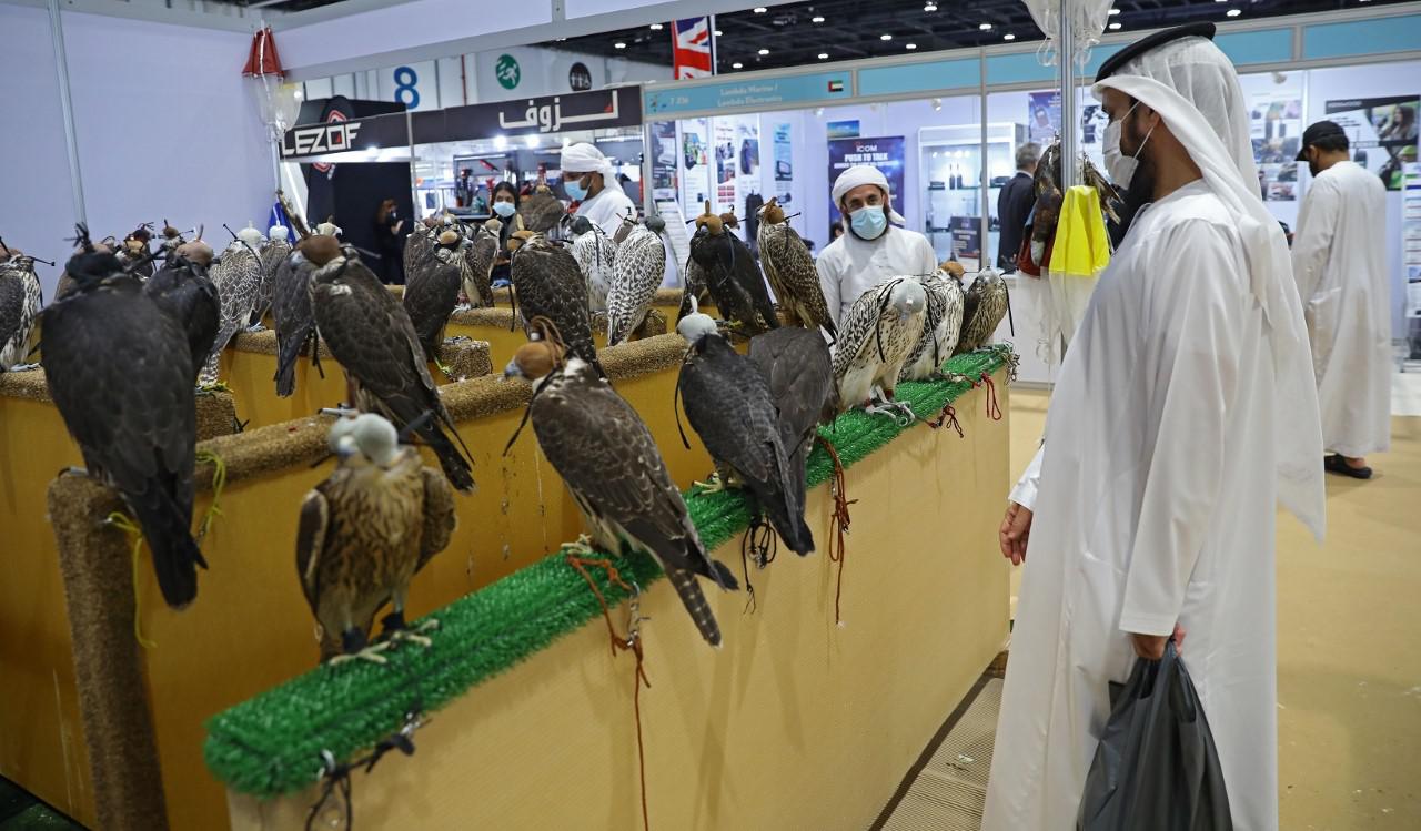 معرض الصيد
