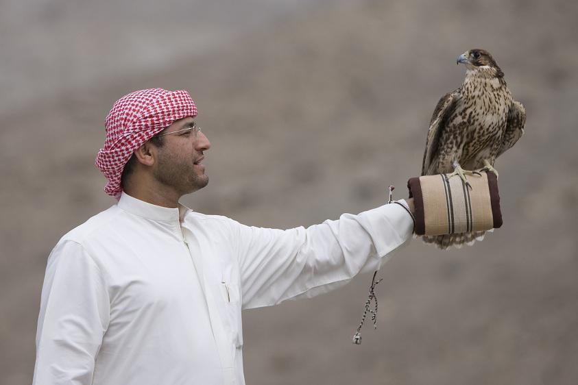 ماجد علي المنصوري