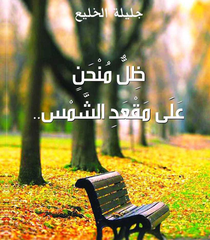 ديوان