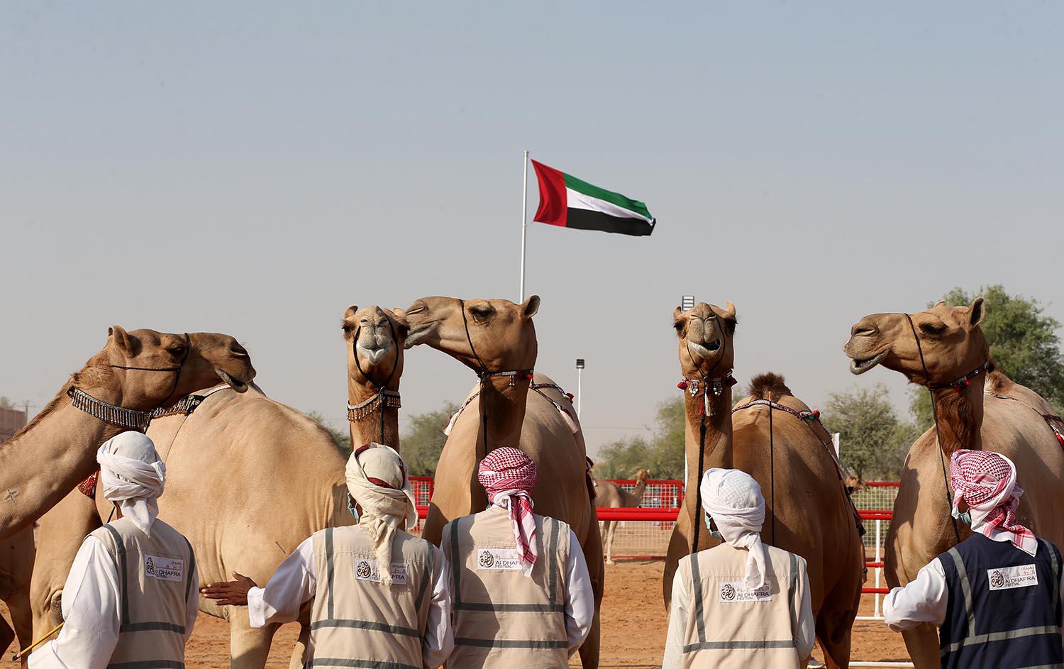 Al Dhafra Festival aspires to preserve the cultural heritage of Abu Dhabi 