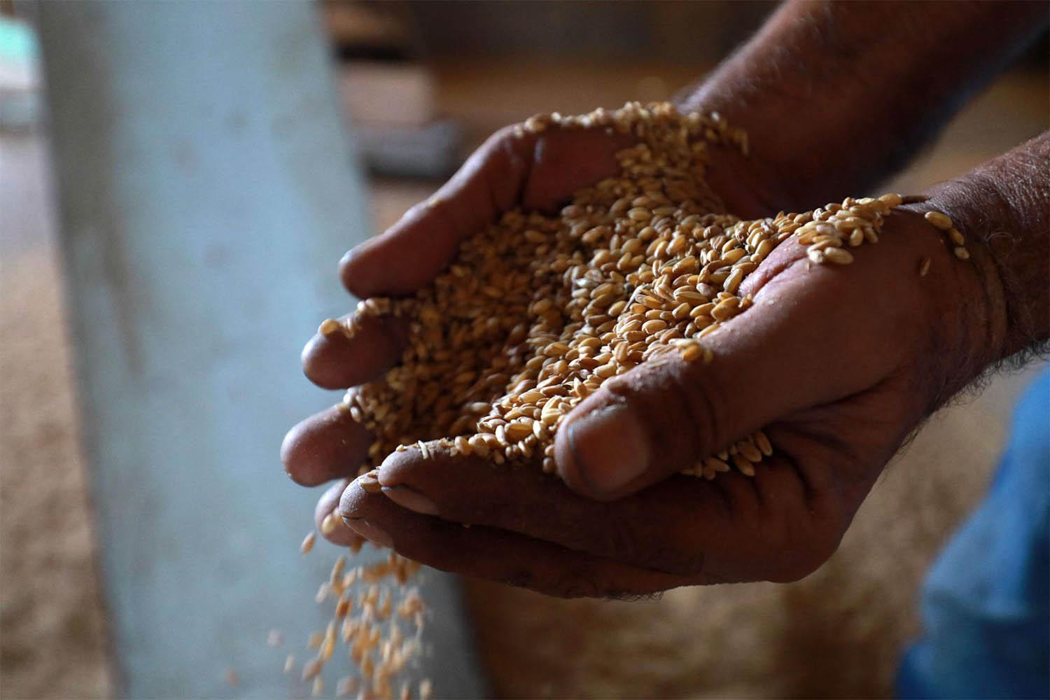 Syria relies mostly on wheat imports from Russia 