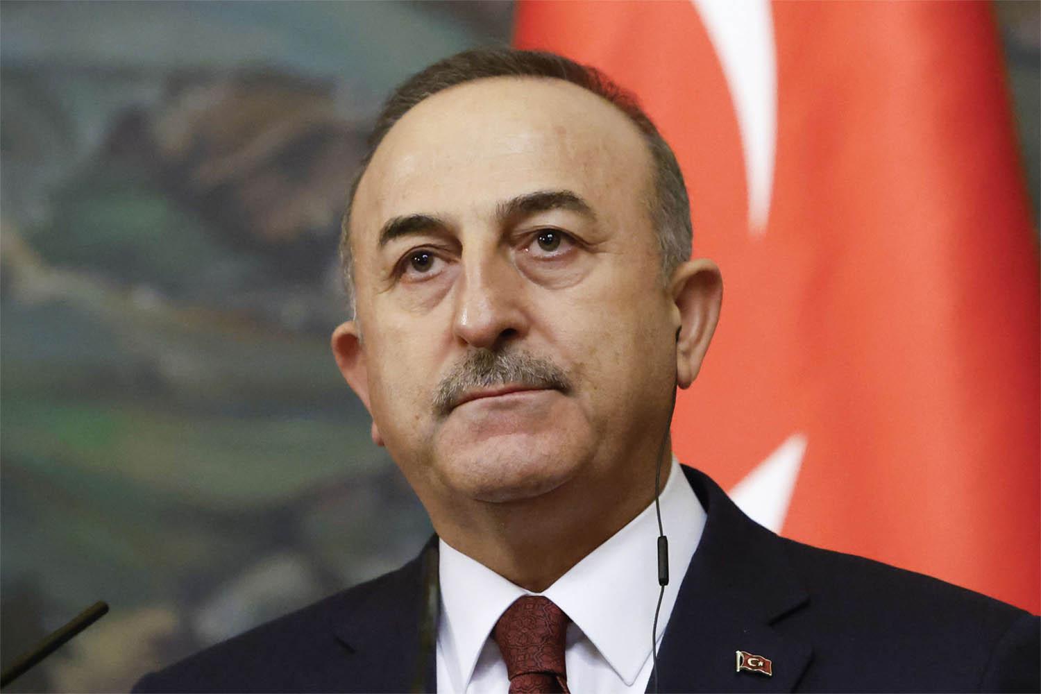 Cavusoglu said he would travel to Israel and Palestine with Energy Minister in mid-May 