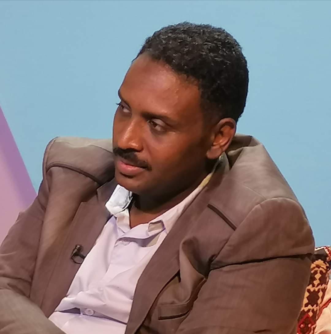 الروائي محمد الطيب