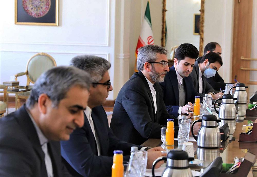 رئيس الوفد الايراني المفاوض أكد عزم بلاده حسم الملف النووي في فيينا