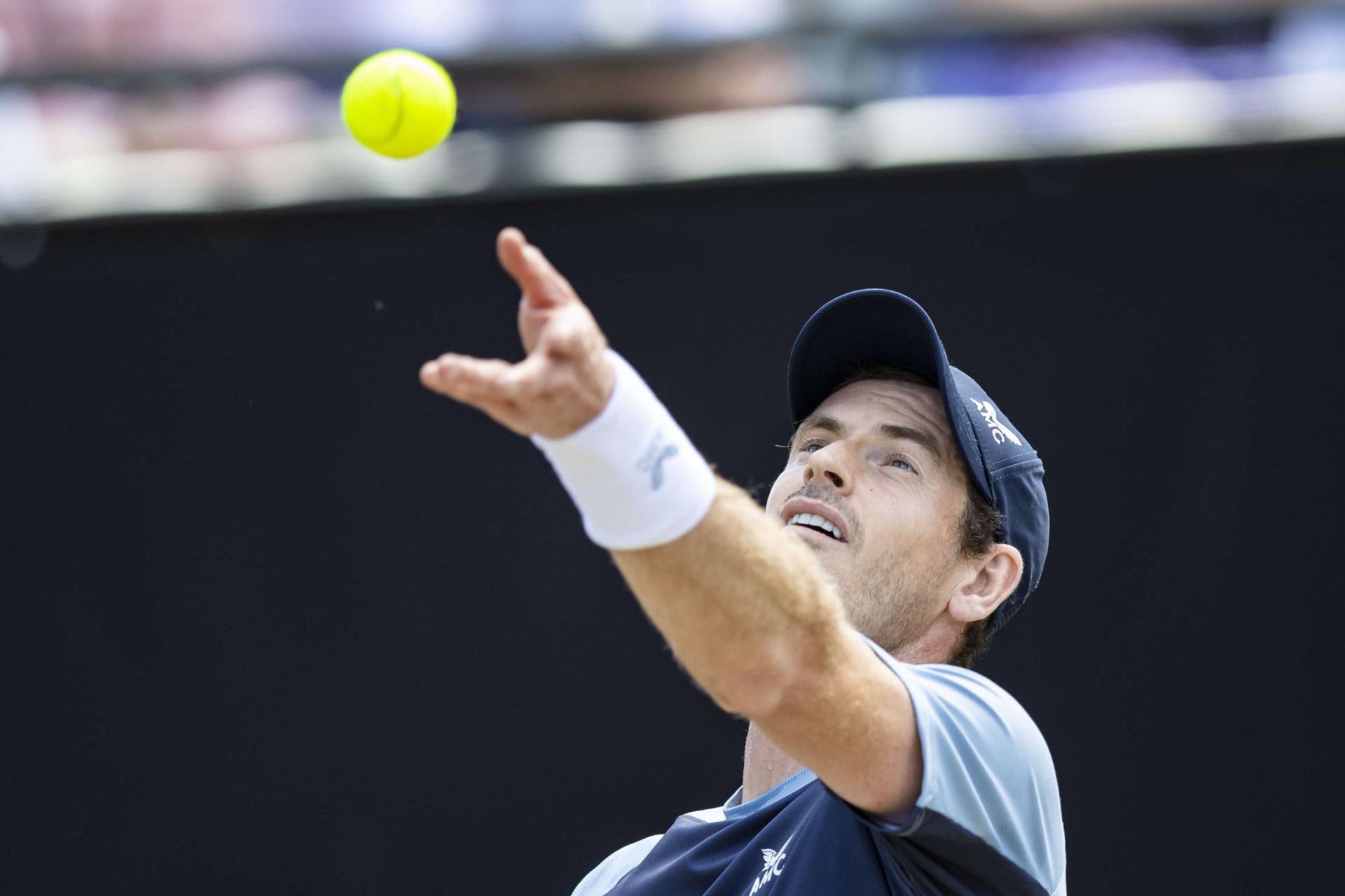 لاعب التنس البريطاني يرفع عدد انتصاراته على الملاعب العشبية الى 114 مقابل 23 هزيمة فقط