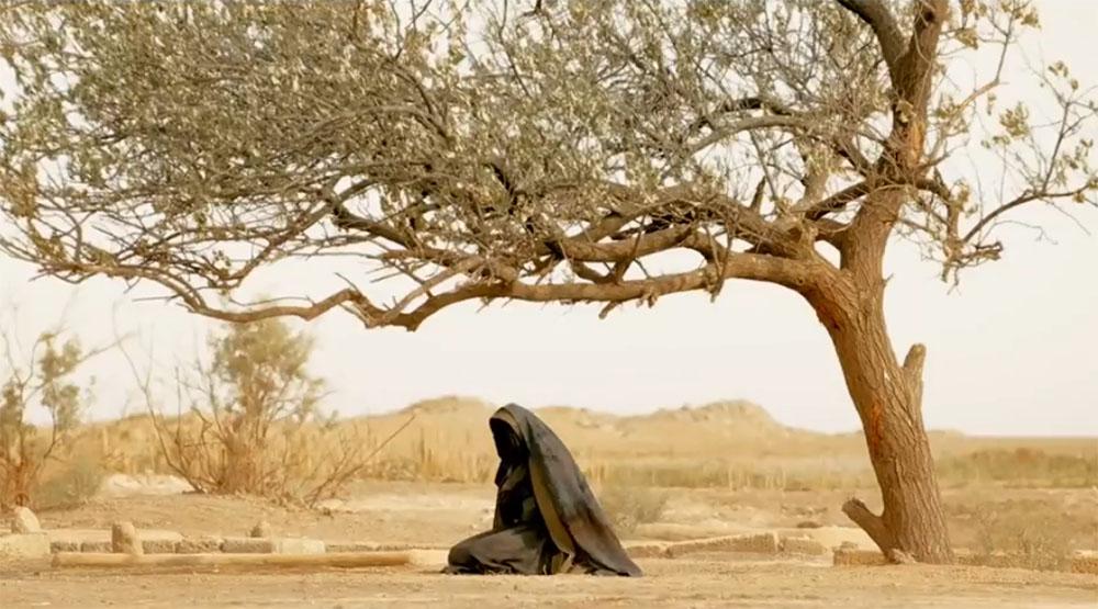 الفيلم يخوض في مسائل تاريخية مثيرة للكراهية