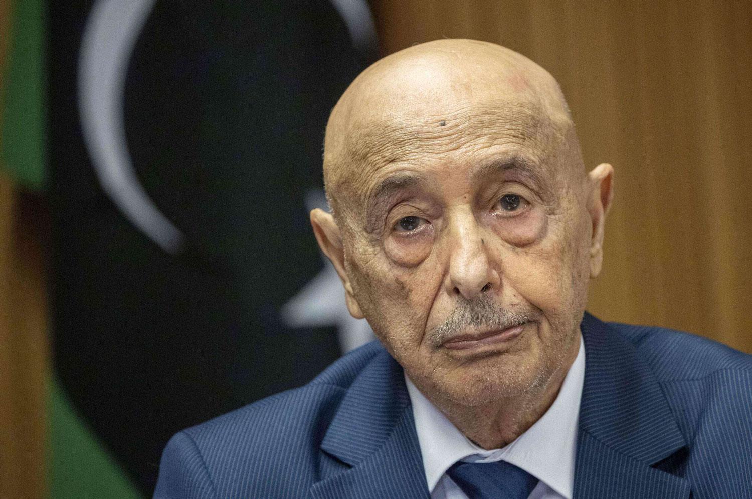 الخلاف بين مجلس النواب والدولة يدور حول سبعة مناصب سيادية   