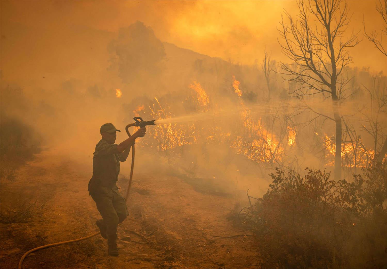 Morocco has set a new record of 480,000 tonnes of carbon emissions from wildfires in June-July this year