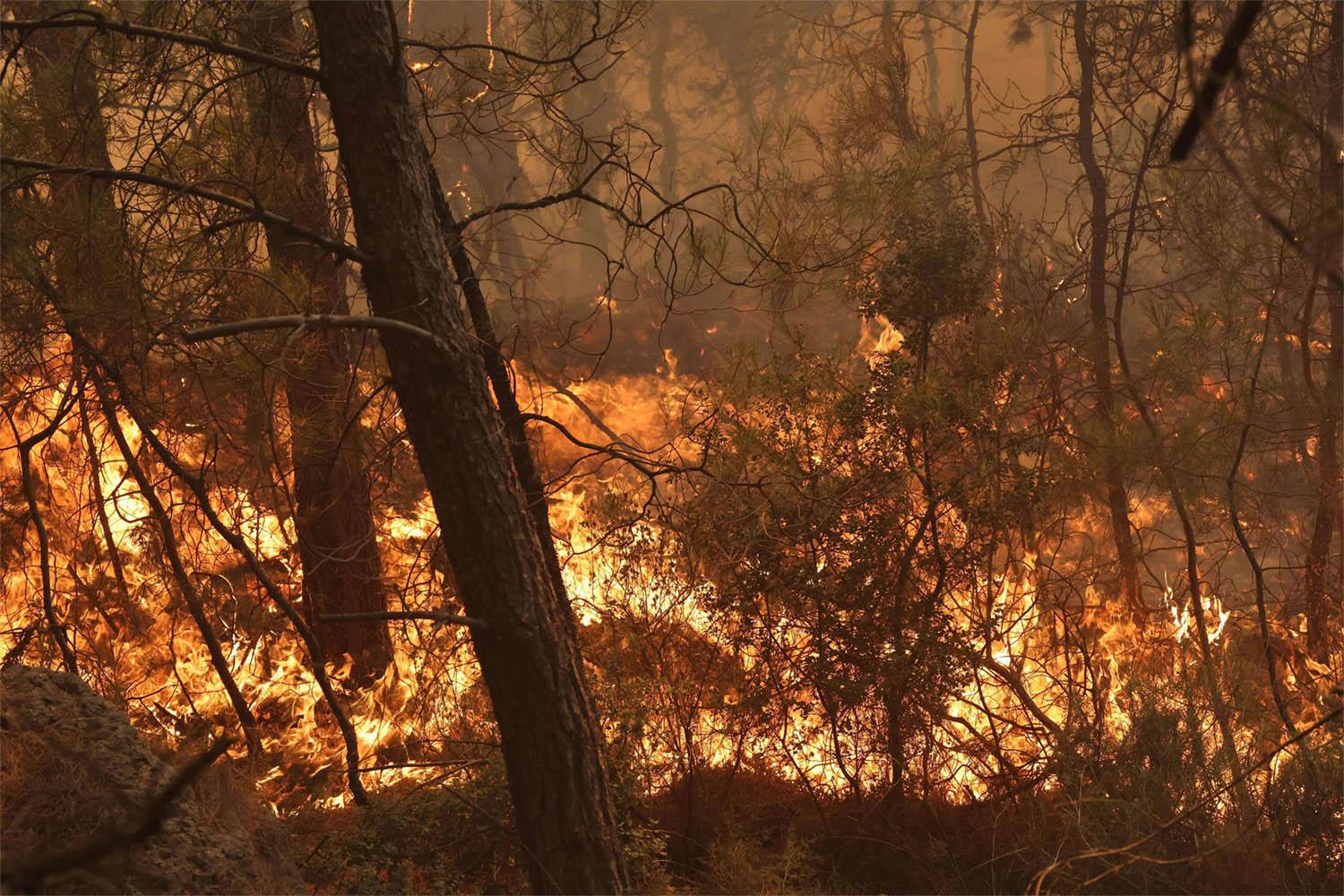 Strong winds made it more difficult to contain the blaze