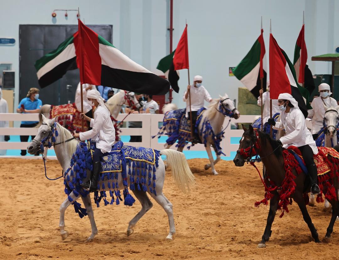 من فعاليات مهرجان أبو ظبي الدولي للصيد