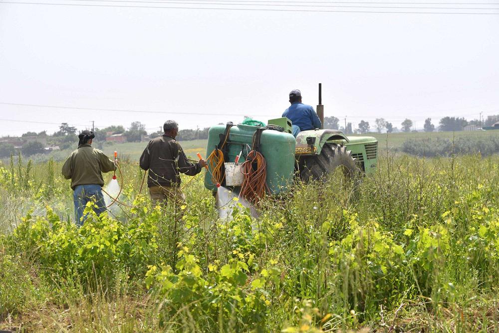الجزائر تتحمل المسؤولية في دخول مبيدات زراعية شديدة السُمية كونها الجهة الناظمة للتصدير والتوريد