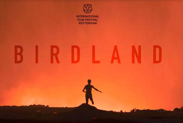 Birdland