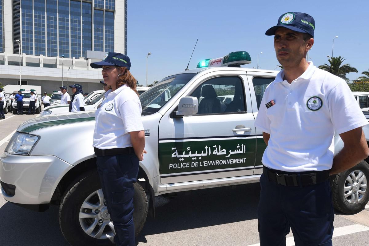 جهاز تاسس بعد الثورة