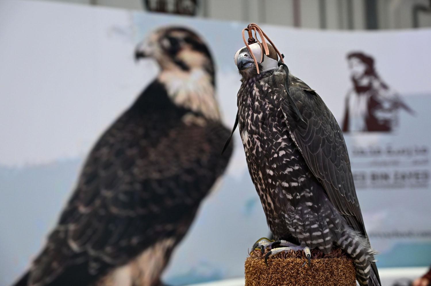ADIHEX