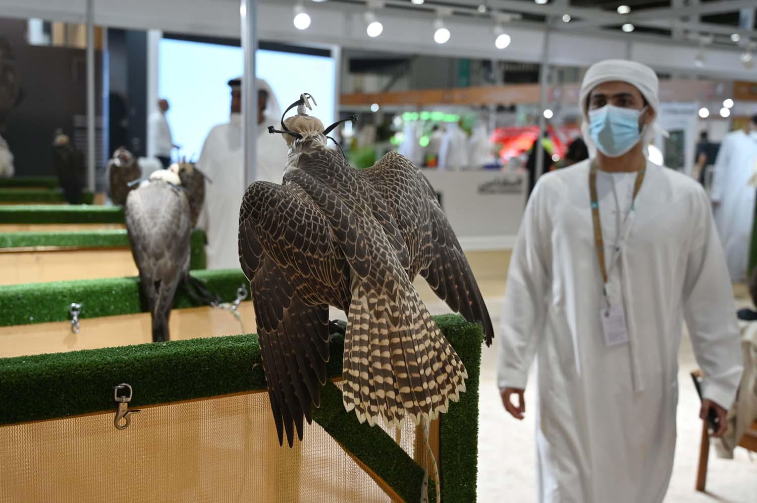 The falconry sector witnessed an unprecedented and record-breaking participation of more than 60 exhibitors in ADIHEX 2022