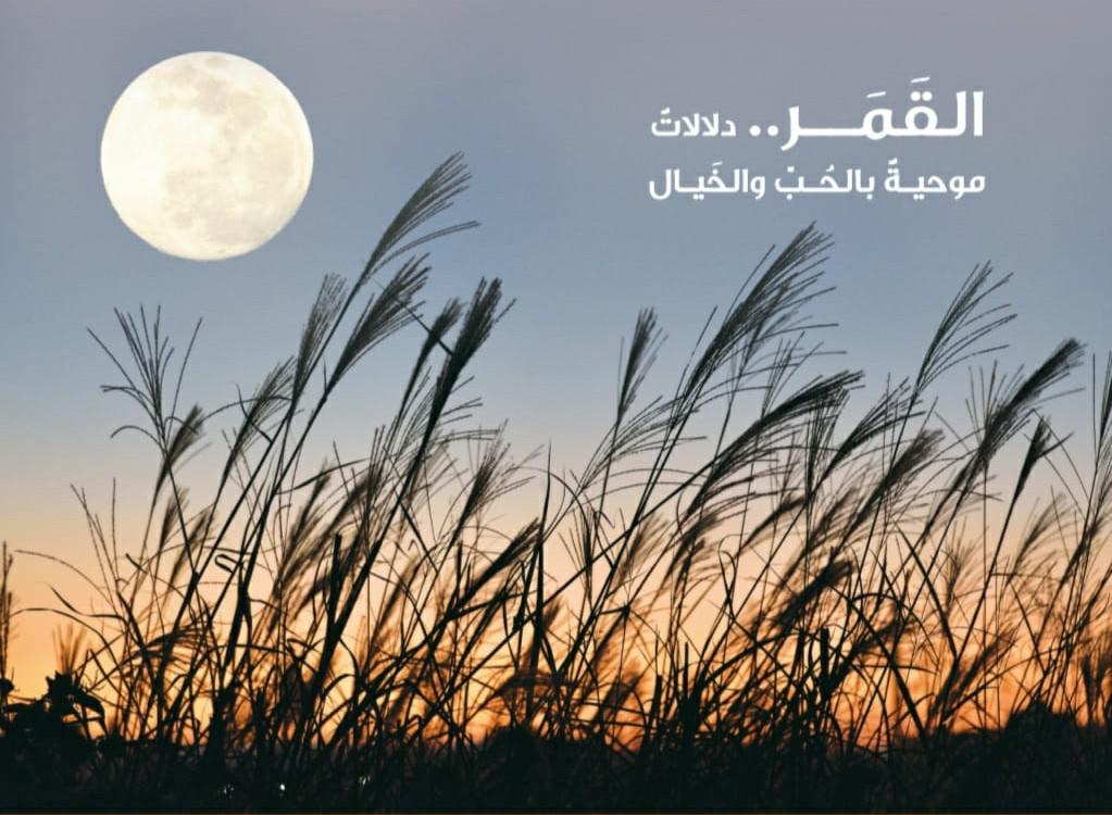 'القوافي'