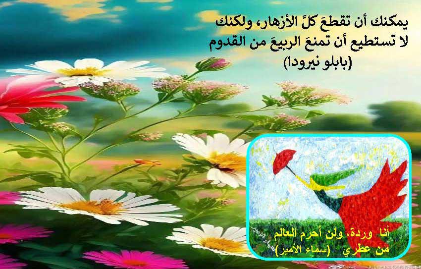 مجلة