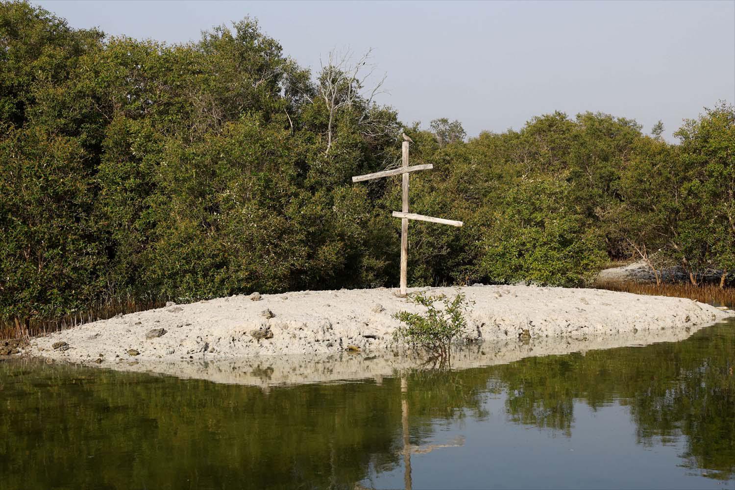 A view of Abu Dhabi's Grey mangrove