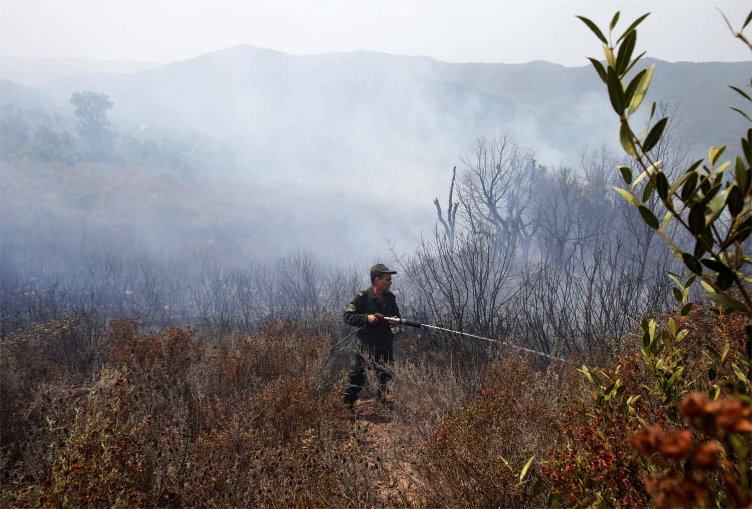 Wildfires swept across regions of Algeria amid a heatwave