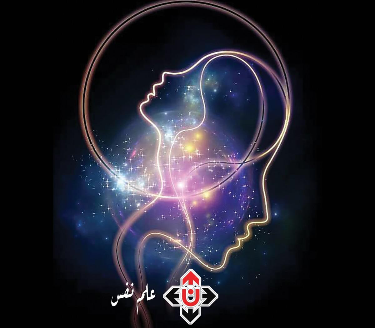 'أسود ونمور وفرائس'