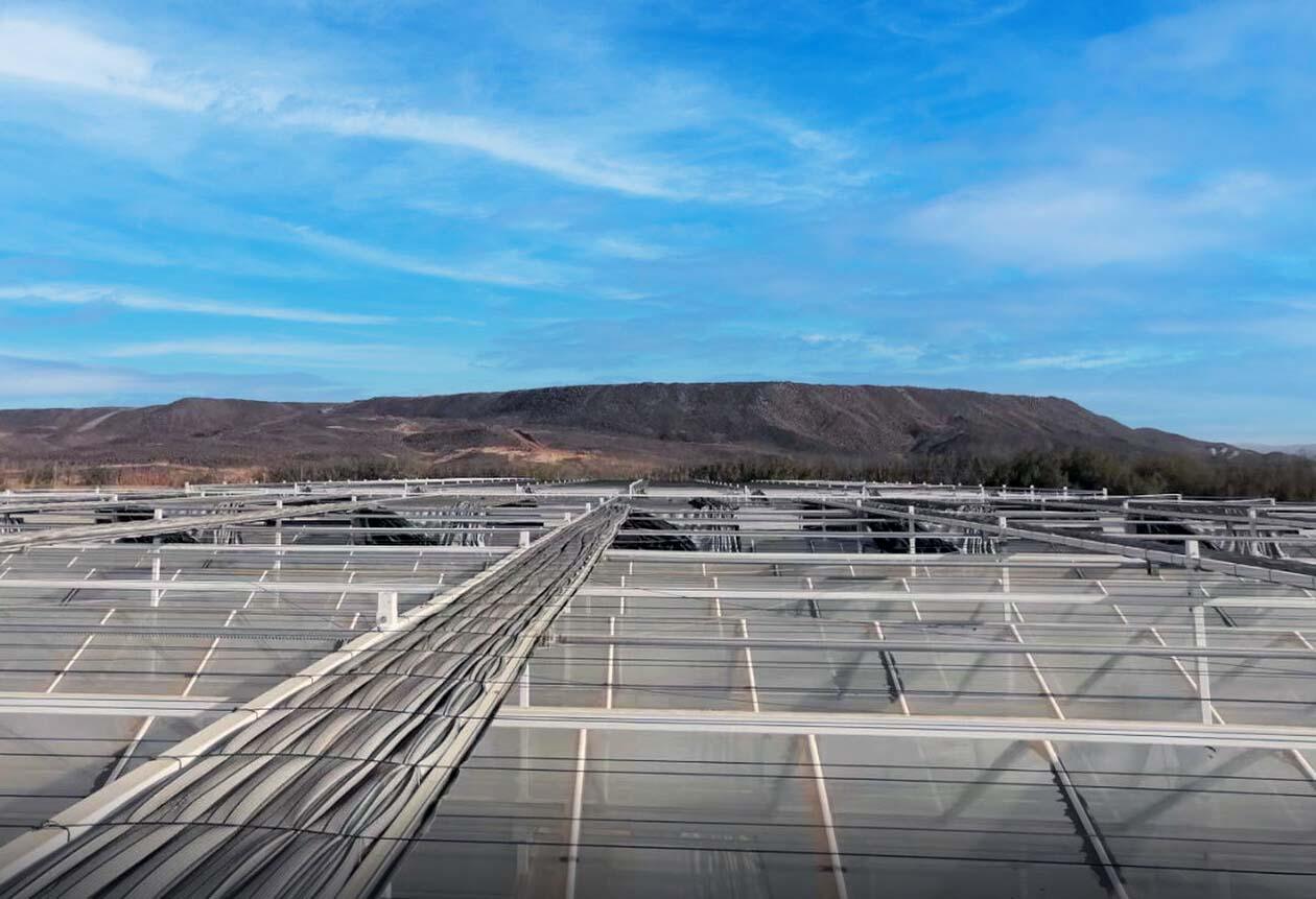 The scheme covers greenhouse gas and non-greenhouse gas metrics across all sectors